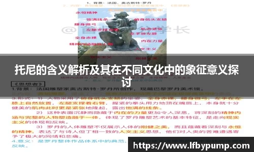 托尼的含义解析及其在不同文化中的象征意义探讨